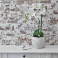 Floristik24 Übertopf Beton Weiß Vintage Blumentopf Weiß Wabenmuster H17,5cm Ø18,5cm