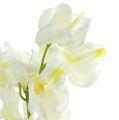 Floristik24 Orchidee künstlich Creme 50cm 6St