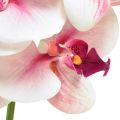 Floristik24 Orchidee Phalaenopsis künstlich 9 Blüten Weiß Fuchsia 96cm