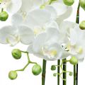 Floristik24 Künstliche Orchideen im Topf Weiß Kunstpflanze 63cm