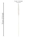 Pampasgras Trockenblumen 70 cm gebleicht Creme 15 Stiele | Floristik24.ch