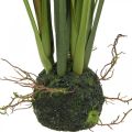 Künstliches Schilfgras mit Wurzelballen Kunstpflanze H63cm