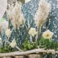 Floristik24 Pampasgras Weiß Künstliche Trockengräser Kunstpflanzen