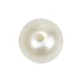 Floristik24 Perlen zum Auffädeln Bastelperlen Creme Weiß 6mm 300g