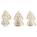 Floristik24 Perlmutt Kreiselschnecke Meeresschnecken Deko 5–6cm 6St