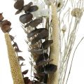 Trockenblumen Strauß mit Eukalyptus Weiß DIY Box H30-35cm