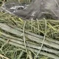 Deko Herz aus Naturgras mit Folieneinsatz 14cm Grün 2er Set | Floristik24.ch