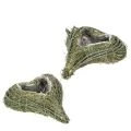 Floristik24 Pflanzherz aus Naturmaterial mit Folieneinsatz 22cm Grün 2er-Set