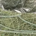 Herzschale aus Naturgras mit Folie 38 cm Grün für kreative Bepflanzung | Floristik24.ch