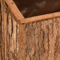 Pflanzkasten Holz länglich Blumenkasten Pinienrinde 27×10cm | Floristik24.ch