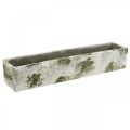 Floristik24 Pflanzkasten Beton Antik Look Blumenkasten rechteckig 40×8×7cm