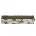 Floristik24 Pflanzkasten Beton Antik Look Blumenkasten rechteckig 40×8×7cm