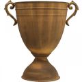 Pflanzkübel Rost Optik Pokalvase Metall Ø22,5cm H32,5cm | Floristik24.ch