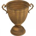 Pflanzkübel Rost Optik Pokalvase Metall Ø22,5cm H32,5cm | Floristik24.ch