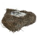 Pflanzschale Herz Friedhof, Rebenherz zum Bepflanzen 15cm 2St | Floristik24.ch