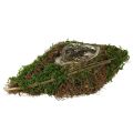 Floristik24 Pflanzschiffchen Reben und Moos Pflanzschale 31×17×6cm