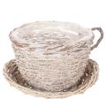 Floristik24 Korb Tasse mit Unterteller aus Weide 34 cm Weiss-Grau