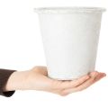 Pflanztopf aus Metall mit Ornamenten Weiss Ø15,5cm H14,5cm für Innen- und Aussendeko | Floristik24.ch