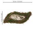 Pflanzwelle Reben Kleine Pflanzschale mit Moos 31×15×7cm | Floristik24.ch