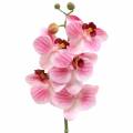 Floristik24 Künstlicher Orchideenzweig Phaelaenopsis Rosa H49cm