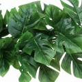 Floristik24 Philodendron Hänger Grün 85cm