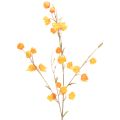 Floristik24 Lampionblume künstlich Physalis-Zweig 95 cm Orange für Innen
