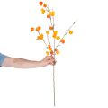 Lampionblume künstlich Physalis-Zweig 95 cm Orange für Innen | Floristik24.ch