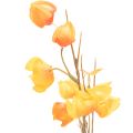 Lampionblume künstlich Physalis-Zweig 95 cm Orange für Innen | Floristik24.ch
