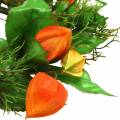 Physalis Kranz künstlich Orange, Grün Ø28cm Herbstdeko | Floristik24.ch