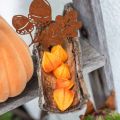 Floristik24 Physalis Orange Sortiert 22St Deko-Blütenkelche künstlich