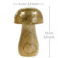 Floristik24 Pilz Mangoholz Gold, Natur Dekopilz Ø6cm H10cm 4St