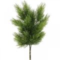 Floristik24 Dekozweige Weihnachten Pinienzweig Künstlich 50cm 3St