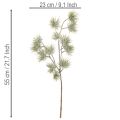 Künstlicher Tannenzweig 55cm aus Kunststoff, 3er-Set in Grün für Winterdekoration | Floristik24.ch
