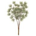 Künstlicher Tannenzweig 55cm aus Kunststoff, 3er-Set in Grün für Winterdekoration | Floristik24.ch