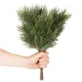 Künstlicher Kiefernzweig 39 cm grün 6 Stück Set für Dekoration | Floristik24.ch