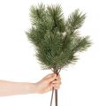 Künstlicher Kiefernzweig Grün 55cm Kunststoff 3 Stück | Floristik24.ch