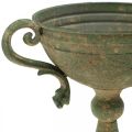 Floristik24 Pokal mit Henkeln, Metallkelch, Amphore zum Bepflanzen Ø14cm H18cm