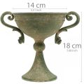 Floristik24 Pokal mit Henkeln, Metallkelch, Amphore zum Bepflanzen Ø14cm H18cm