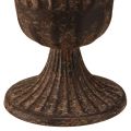 Pokalvase Deko Pokal Metall Braun Antik Ø14cm H12cm | Floristik24.ch