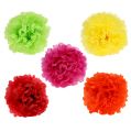 Floristik24 Pompom Papier Ø30cm sort. 5St