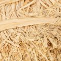 Raffiabast Bündel Naturbast für Floristik und Geschenkverpackung 1 kg | Floristik24.ch