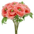Floristik24 Ranunkel Rosa-Pink 27cm 8St