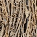 Dekokranz aus Rattan Weiss gewaschen 50 cm für kreative Gestaltung | Floristik24.ch
