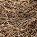 Rebenring 25 cm aus Naturmaterial für Bastel- und Dekorationsprojekte | Floristik24.ch
