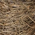 Rebenkranz aus natürlichem Weinrebematerial, rund, unbehandelt, Durchmesser 45 cm, ideal für Bastel- und Dekorationsprojekte | Floristik24.ch