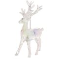 Floristik24 Rentier Anhänger Acryl 14cm 4er-Set für Weihnachtsdekoration