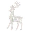 Rentier Anhänger Acryl 14cm 4er-Set für Weihnachtsdekoration | Floristik24.ch