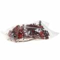 Repens Rosette Rot 8cm - 9cm 25 St | Floristik24.ch