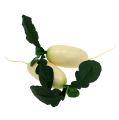 Floristik24 Rettich Weiß mit Blättern 12cm 3St