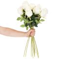 Künstliche Rosen Weiss mit langem Stiel 62 cm im 12er-Set | Floristik24.ch